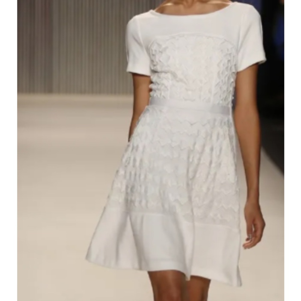 Tracy Reese fish net detail A line dress sz 0